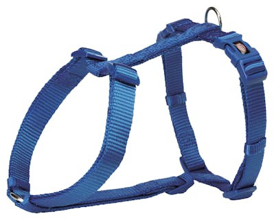 Premium H-tuig M–L: 52–75 cm/20 mm, royal blauw