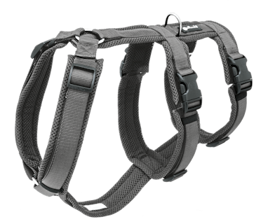 Safetyharness S anthracite